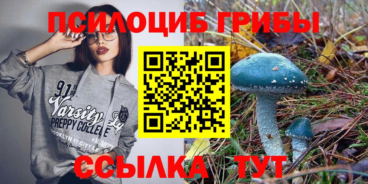 Псилоцибиновые грибы мицелий Лениногорск